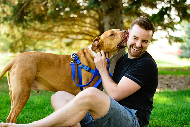 dog with man dog with man