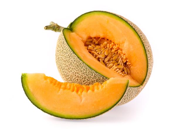 can dogs eat cantaloupe article