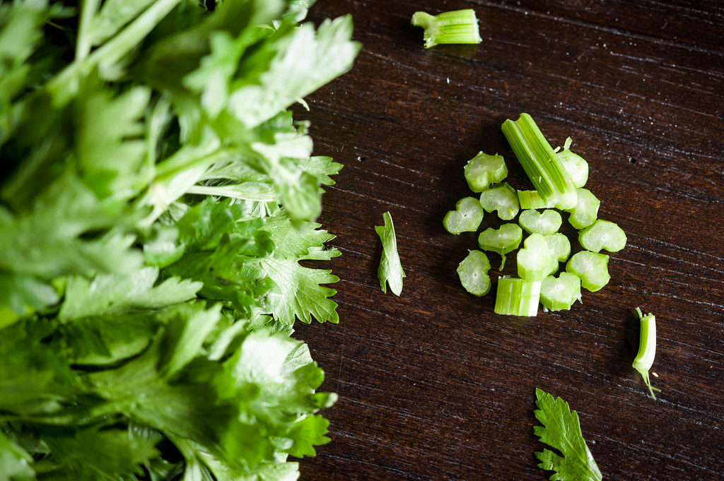 can dogs eat celery article