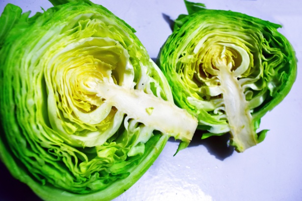 can dogs eat lettuce