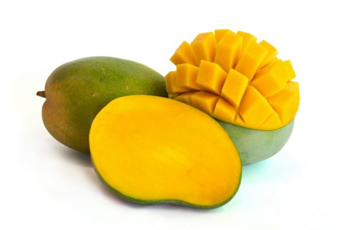 can dogs eat mango