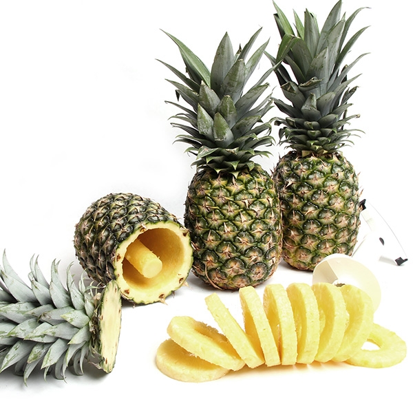 can dogs eat pineapple?